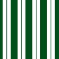 Seamless pattern vertical green stripe vector illustratio